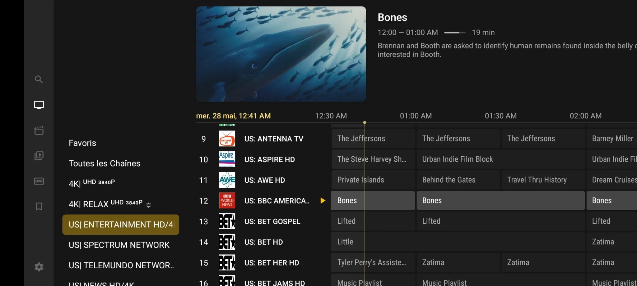 VIP Premium App Interface